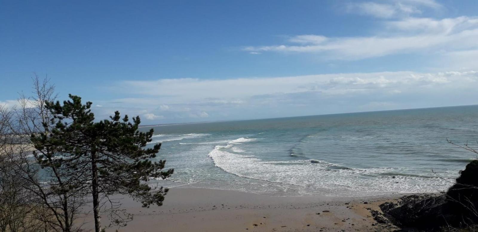 Les Sables D'Or - Joli T3 200M De La Plage Barneville-Carteret Ngoại thất bức ảnh